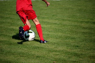 开云官方网页登录-NBA球队青训体系建设与人才储备,nba青年队